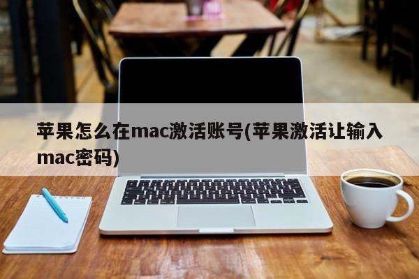 Mac で Apple アカウントをアクティベートする方法 (Apple アクティベーションには Mac パスワードの入力が必要です)