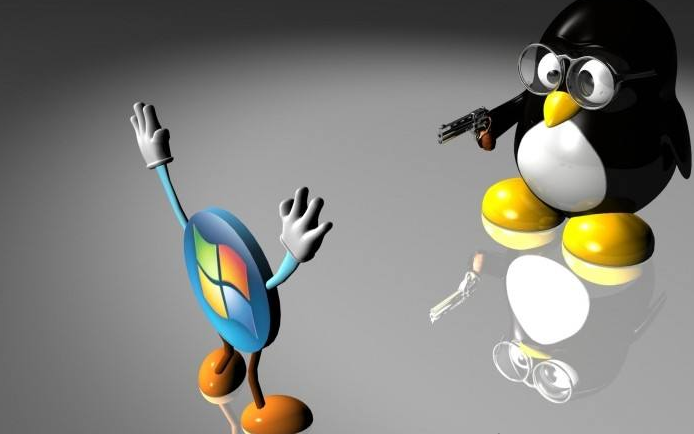 Subvert your understanding of operating systems - an overview of Linux distributions