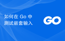 如何在 Go 中测试嵌套输入