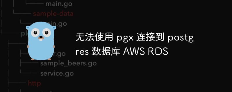 无法使用 pgx 连接到 postgres 数据库 aws rds