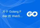 对于 Golang Fiber 的 WebSocket 客户端，如何将 HTTP 客户端/连接转变为 WebSocket？