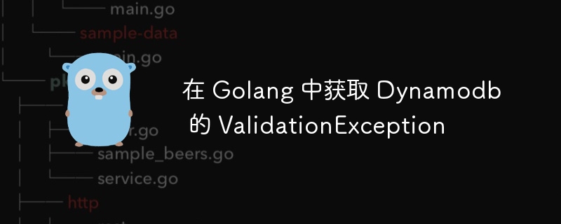 在 Golang 中获取 Dynamodb 的 ValidationException