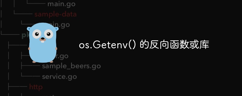 os.getenv() 的反向函数或库