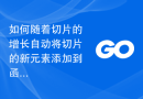 如何随着切片的增长自动将切片的新元素添加到函数参数