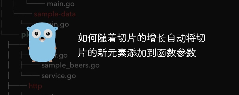 如何随着切片的增长自动将切片的新元素添加到函数参数