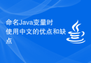命名Java变量时使用中文的优点和缺点