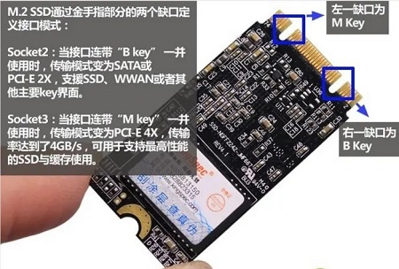 m.2 プロトコルを確認する方法