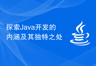 探索Java开发的内涵及其独特之处