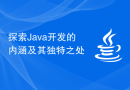 探索Java开发的内涵及其独特之处