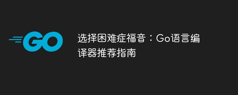 Go编译器选择指南