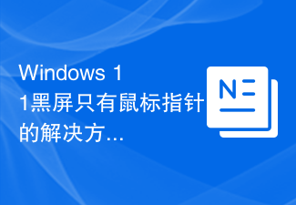 Solution à l'écran noir de Windows 11 avec uniquement le pointeur de la souris