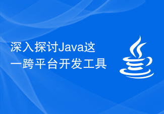 深入探讨Java这一跨平台开发工具