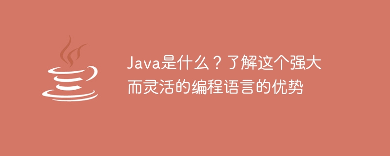 Java 프로그래밍 언어의 이점과 기능을 살펴보세요.