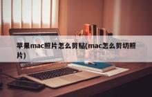 苹果mac照片怎么剪贴(mac怎么剪切照片)