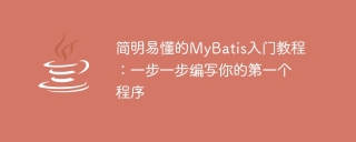 Beginners Guide: Start from scratch and learn MyBatis step by step