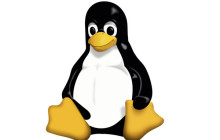 Linux网络配置与故障排除