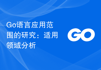 Go语言应用范围的研究：适用领域分析