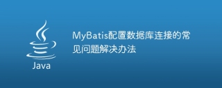 Solve common problems when configuring database connection in MyBatis