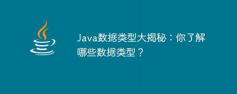 java数据类型大揭秘：你了解哪些数据类型？