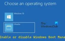 在Windows 11/10上启用或禁用Windows引导管理器