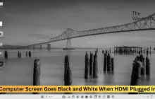 当插入HDMI时，计算机屏幕变为黑白