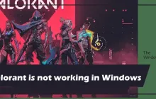 Valorant在Windows 11中无法正常工作[修复]