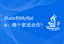 iBatis和MyBatis：哪个更适合你？
