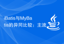 iBatis与MyBatis的异同比较：主流ORM框架的对比