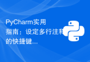 PyCharm实用指南：设定多行注释的快捷键