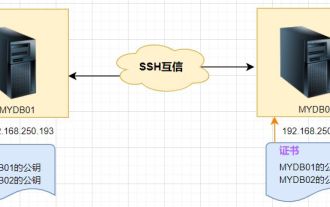 Konfigurasi kepercayaan bersama log masuk SSH Linux