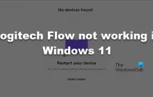 Logitech Flow无法在Windows 11中运行