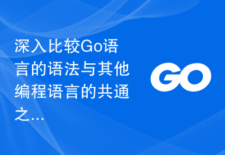 深入比较Go语言的语法与其他编程语言的共通之处