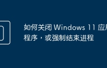 如何关闭 Windows 11 应用程序，或强制结束进程