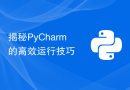 揭秘PyCharm的高效运行技巧