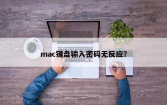 No response when entering password on mac keyboard?