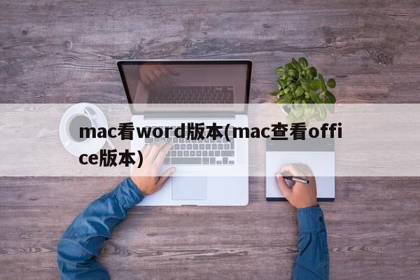 mac看word版本(mac查看office版本)