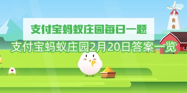 2월 20일 Alipay Ant Manor에 대한 답변 목록