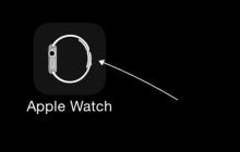 苹果手表忘记密码怎么办