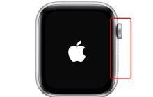 苹果手表怎么强制重启