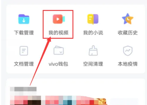 Where is the privacy space of vivo browser?