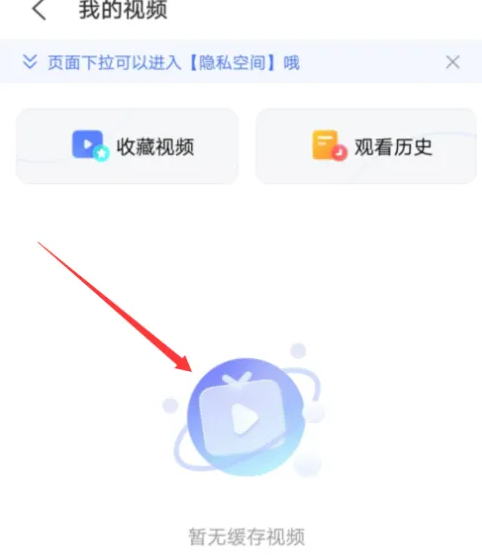 Where is the privacy space of vivo browser?