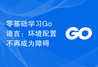 처음부터 Go 언어 배우기: 환경 구성은 더 이상 장애물이 아닙니다.