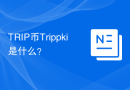 TRIP币Trippki是什么？
