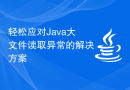 轻松应对Java大文件读取异常的解决方案