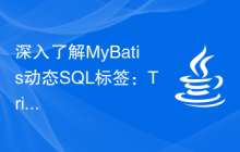深入了解MyBatis动态SQL标签：Trim标签功能解析