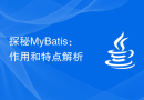 探秘MyBatis：作用和特点解析