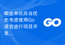 哪些单位应当优先考虑使用Go语言进行项目开发？