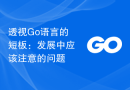 透视Go语言的短板：发展中应该注意的问题