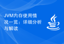 JVM内存使用情况一览：详细分析与解读