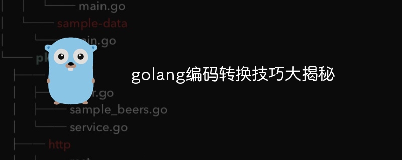 golang编码转换技巧大揭秘